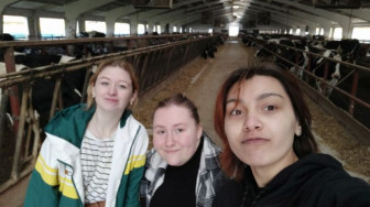 БУДУЩИЕ ВЕТЕРИНАРЫ СНОВА НА ПРАКТИКЕ.